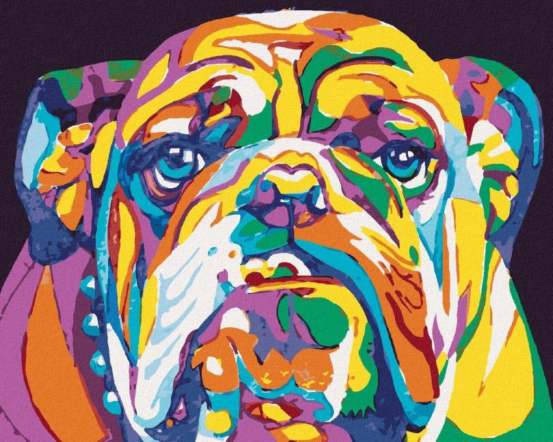 Malování podle čísel Barevný bulldog, 40x50 cm, bez rámu a bez vypnutí plátna