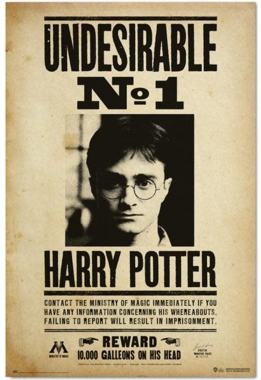 Plakát Harry Potter - Nežádoucí No.1  - plakát