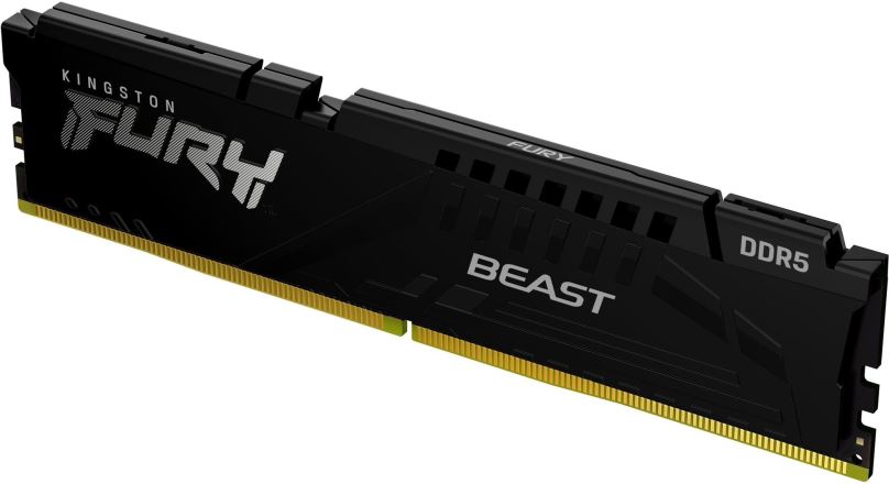 Operační paměť Kingston FURY 8GB DDR5 6000MHz CL40 Beast Black