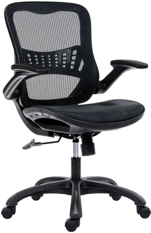 Kancelářská židle ANTARES Dayman černá síť