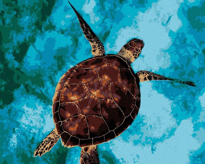 Malování podle čísel Mořská želva na vodě, 80x100 cm, vypnuté plátno na rám
