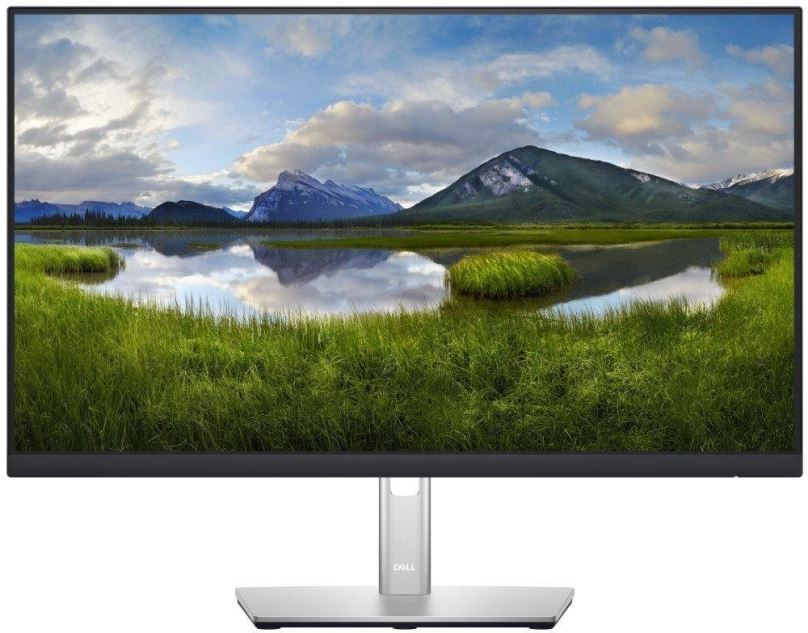 LCD monitor 23.8" Dell P2422HE Professional
