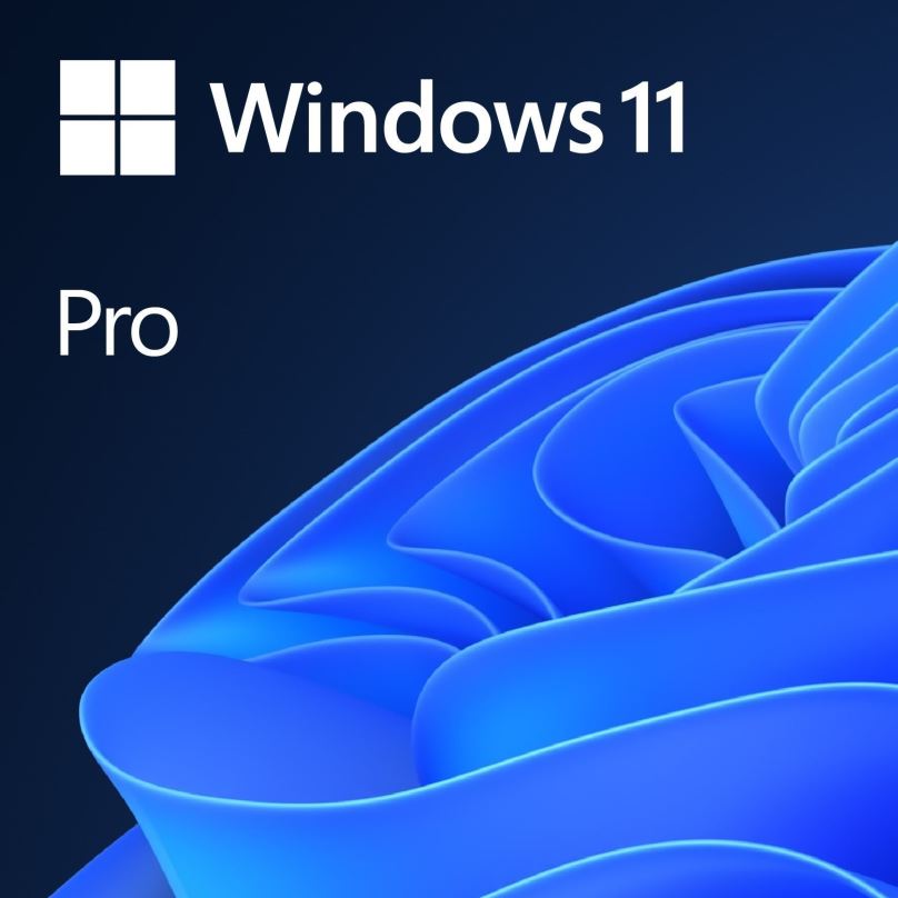 Operační systém Microsoft Windows 11 Pro EN (OEM)