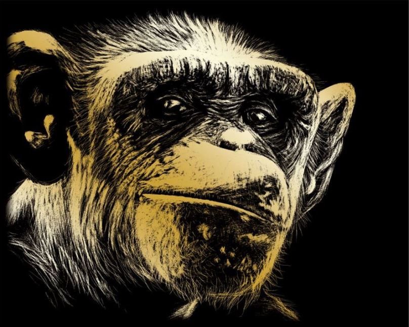 ROYAL & LANGNICKEL Zlatý škrabací obrázek Opice