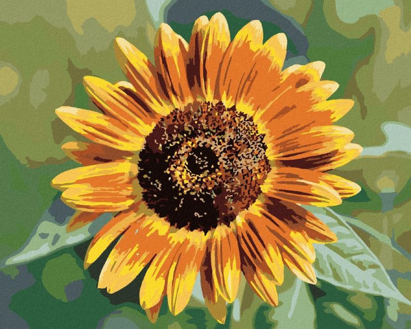Malování podle čísel Květ slunečnice, 80x100 cm, bez rámu a bez vypnutí plátna