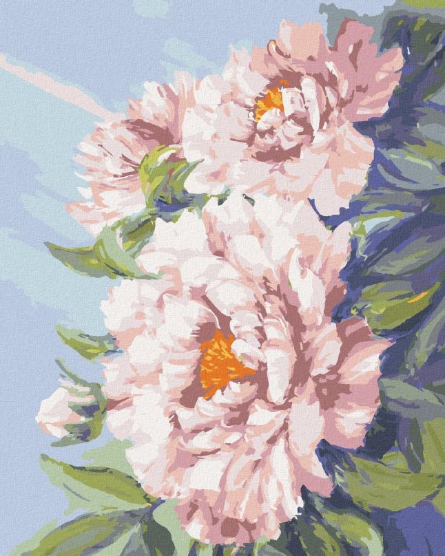 Malování podle čísel Květy růžové pivoňky, 40x50 cm, bez rámu a bez vypnutí plátna