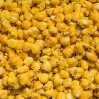 LK Baits Partikl IQ Method Feeder Corn Citrus 1kg