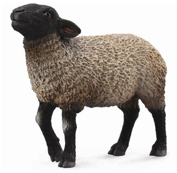 Figurka Collecta Suffolská ovce