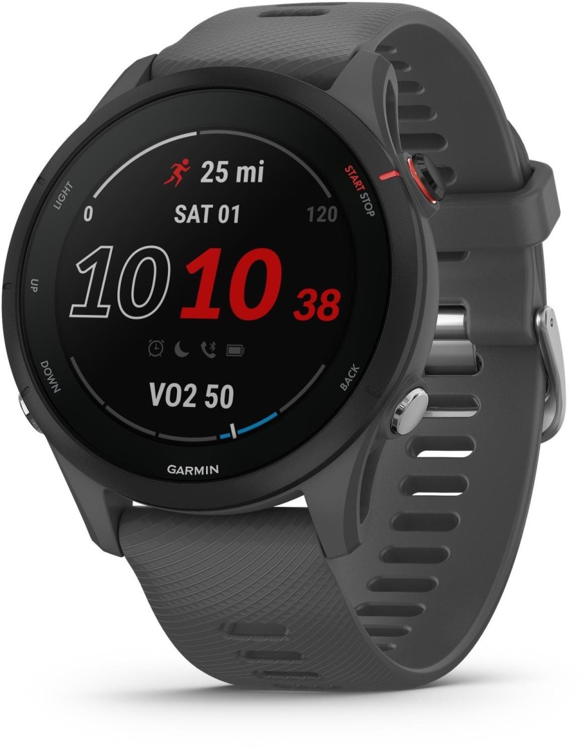 Chytré hodinky Garmin Forerunner 255 Slate Grey 010-02641-10