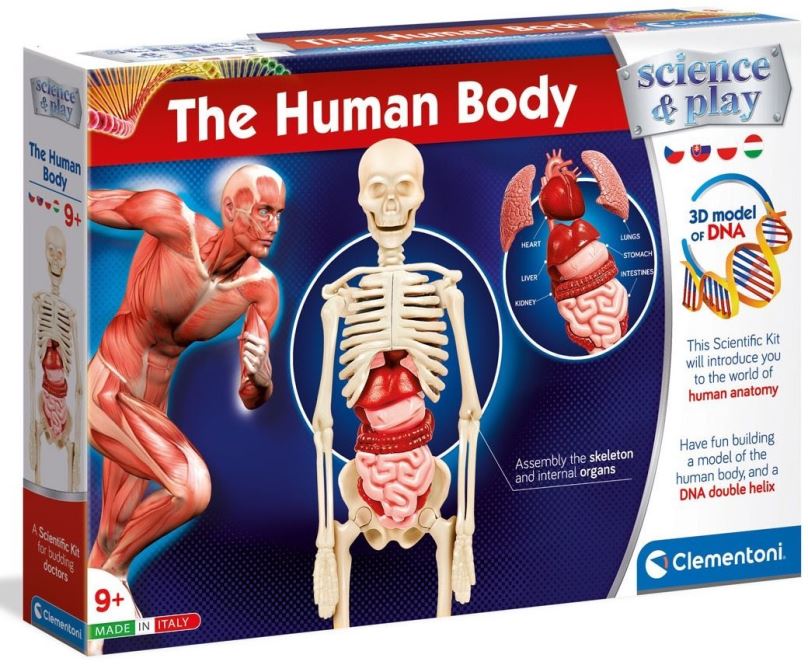 Experimentální sada Lidské tělo