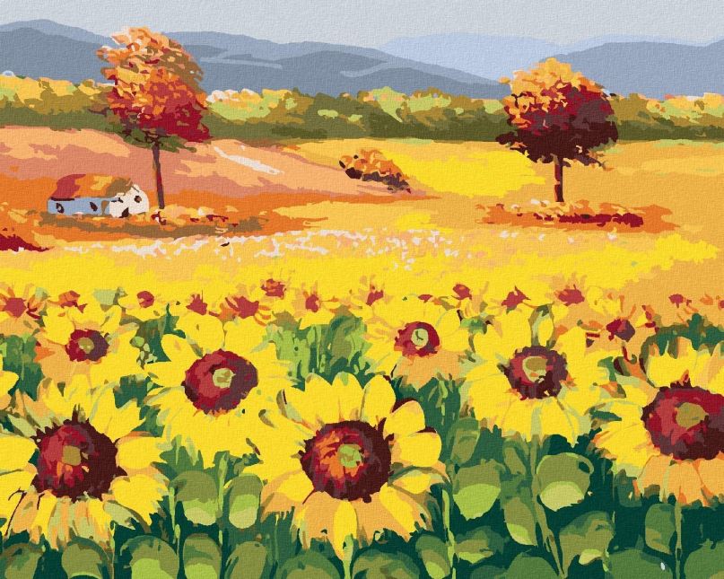 Malování podle čísel Překrásné pole plné slunečnic, 80x100 cm, bez rámu a bez vypnutí plátna