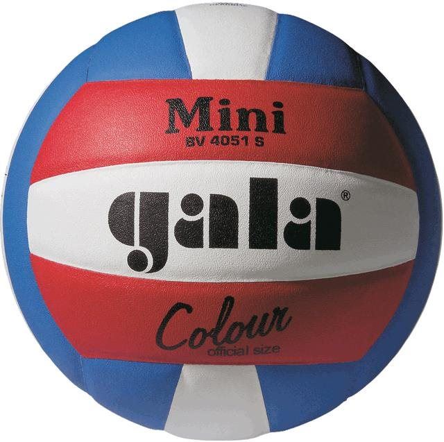 Volejbalový míč Gala Mini Pro-line  BV 4051