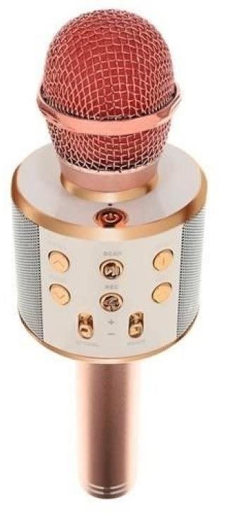 Mikrofon ISO Karaoke mikrofon s reproduktorem Izoxis