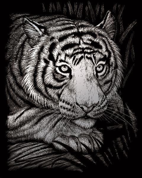 ROYAL & LANGNICKEL Stříbrný škrabací obrázek Číhající tygr