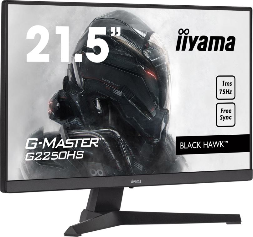 LCD monitor 21,5" iiyama G-Master G2250HS-B1