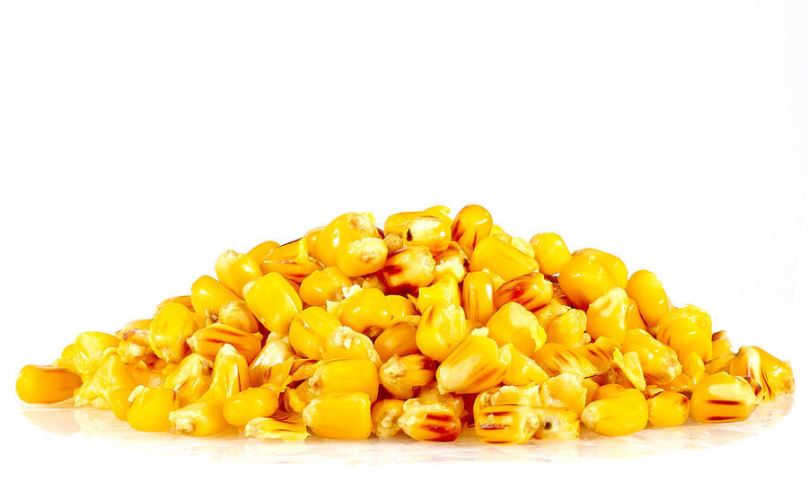 Sportcarp Nakládaná kukuřice Sweet Corn 2,5kg