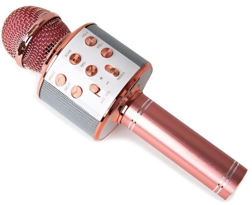 Dětský mikrofon Senzanákupy.cz Karaoke mikrofon WS-858