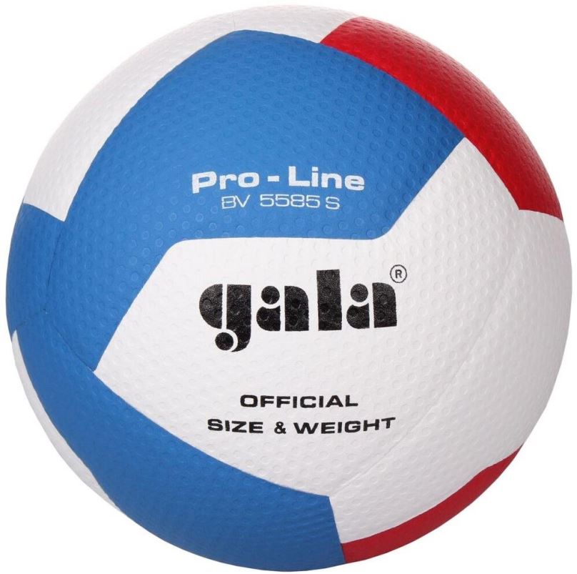 Volejbalový míč Gala Pro Line 12 BV 5585 S