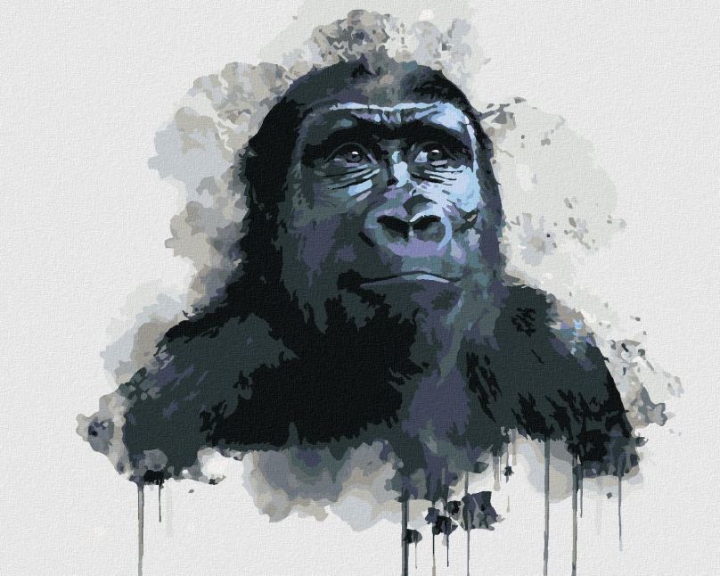 Malování podle čísel Černá gorila, 40x50 cm, bez rámu a bez vypnutí plátna