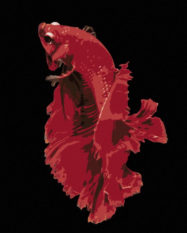 Malování podle čísel Krásná červená rybka, 80x100 cm, vypnuté plátno na rám