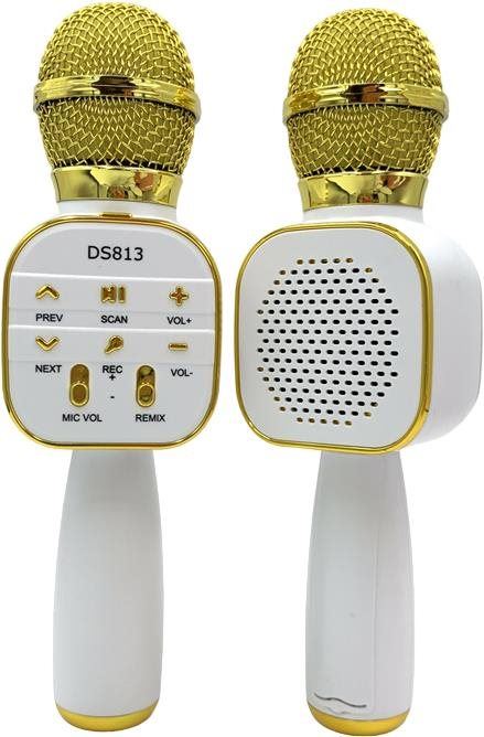 Dětský mikrofon Eljet Star Karaoke Gold