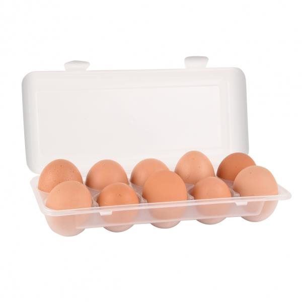 Dóza ORION Box na vajíčka UH na 10 ks