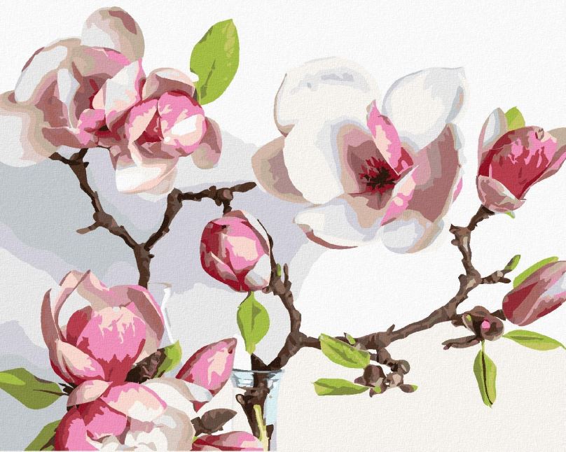Malování podle čísel Jarní kvetoucí magnólie, 40x50 cm, bez rámu a bez vypnutí plátna
