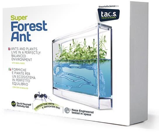 Experimentální sada Super Forest Ant Ecoterrarium