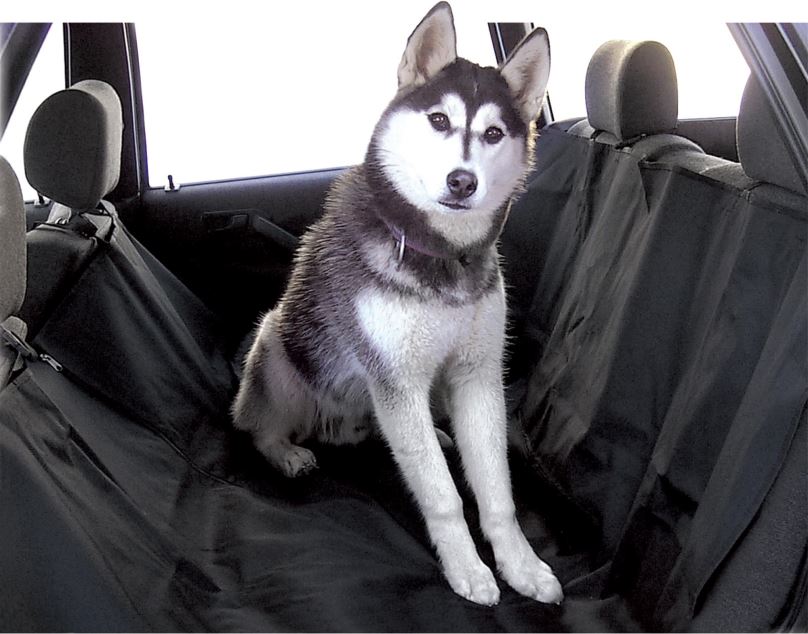 Deka Carpoint Deka na převoz psů na zadní sedačky 140x150cm