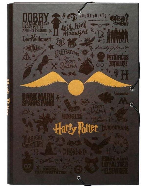 Desky na dokumenty GRUPO ERIK Harry Potter: Golden Snitch - složka A4
