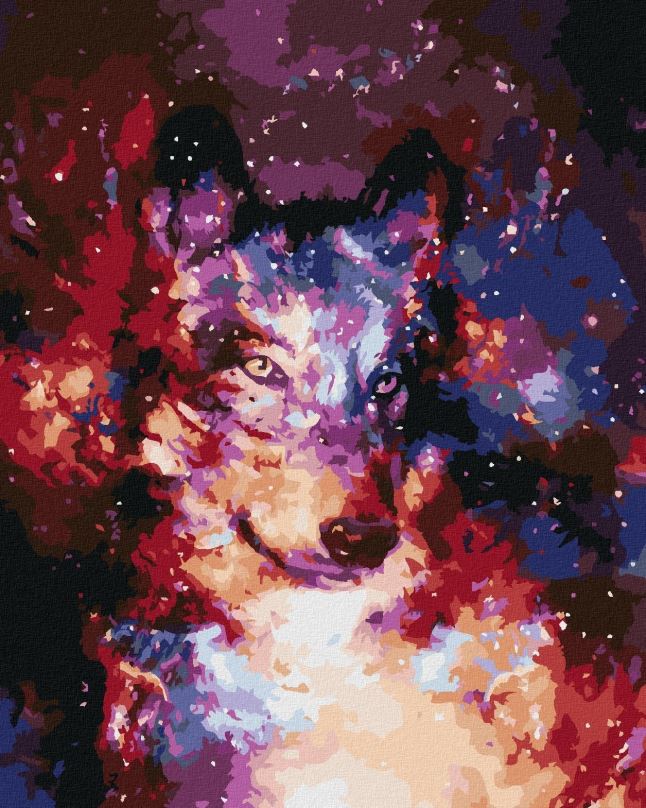 Malování podle čísel Abstraktní vlk ve vesmíru, 40x50 cm, bez rámu a bez vypnutí plátna