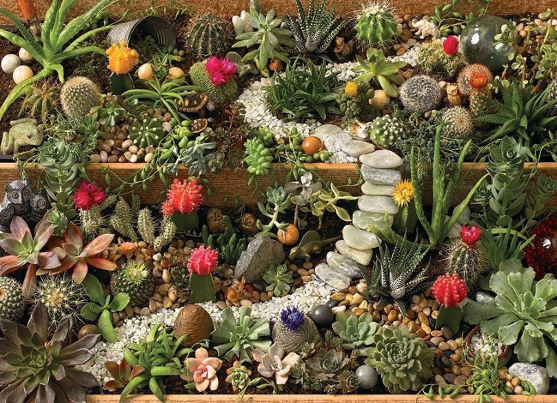 Puzzle Cobble Hill Puzzle Zahrada sukulentů 1000 dílků
