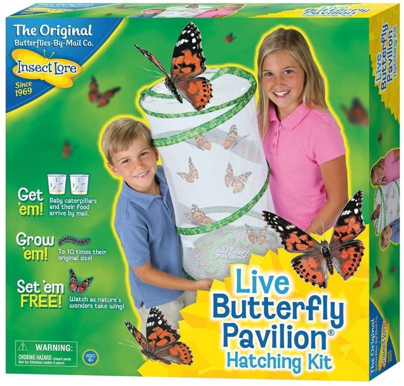 Kreativní sada Motýlí pavilon pro 6-10 motýlích housenek