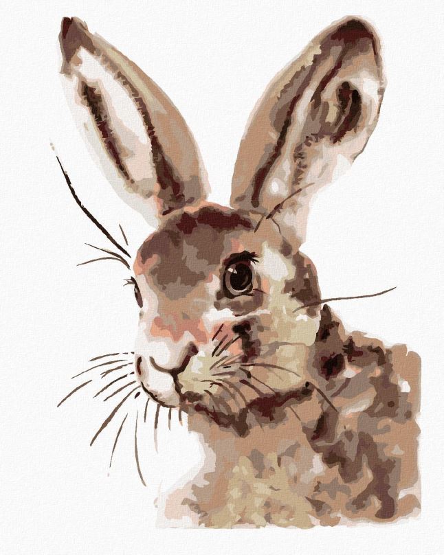 Malování podle čísel Roztomilý králík, 40x50 cm, bez rámu a bez vypnutí plátna