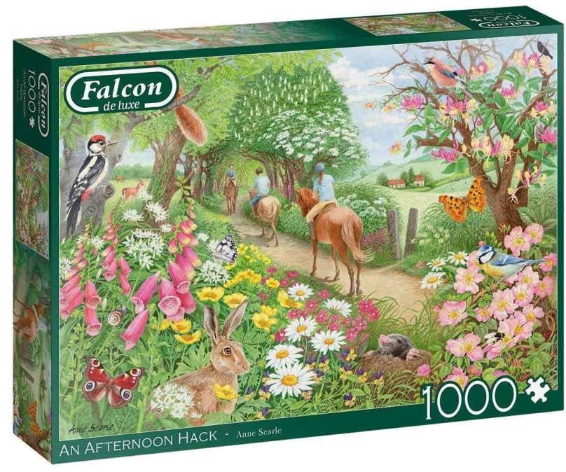 Puzzle Falcon Puzzle Odpolední projížďka 1000 dílků