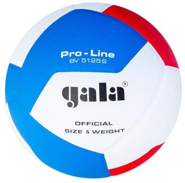 Volejbalový míč Gala Pro Line 12 BV 5125 S