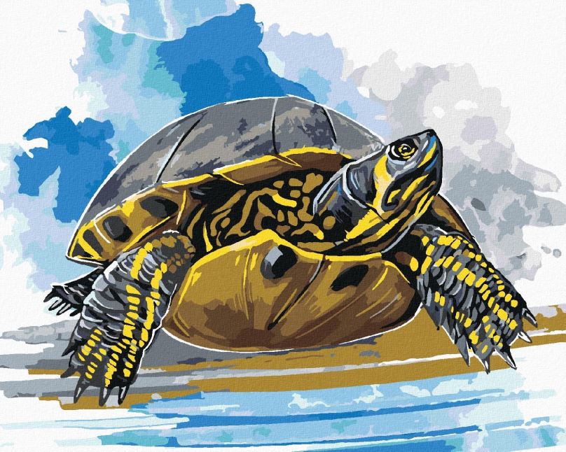 Malování podle čísel Vodní želva, 80x100 cm, bez rámu a bez vypnutí plátna