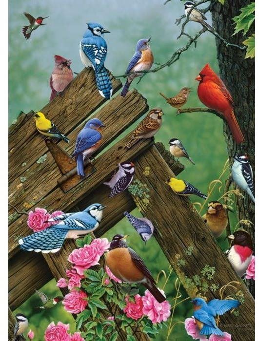 Puzzle Cobble Hill Puzzle Lesní ptáci 1000 dílků