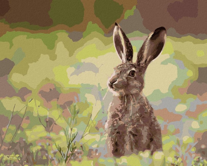 Malování podle čísel Zajíc v trávě, 40x50 cm, bez rámu a bez vypnutí plátna
