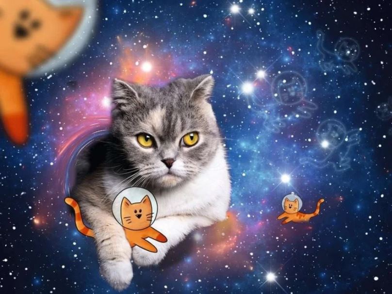Puzzle Kočka ve vesmíru 1500 dílků