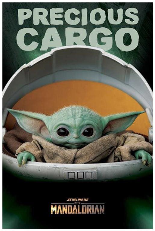 Plakát Star Wars: Mandalorian - Precious Cargo