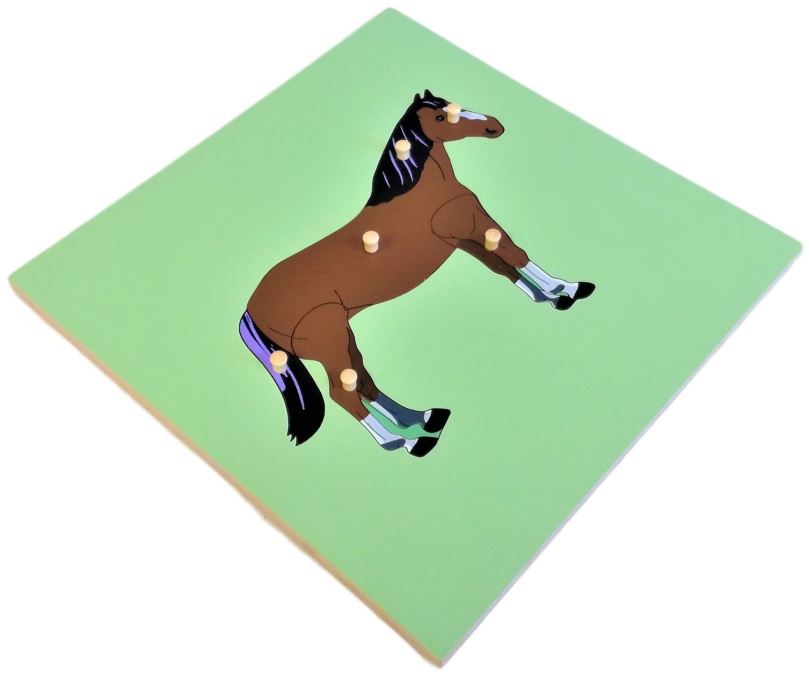 Vkládačka Puzzle s kostrou - kůň