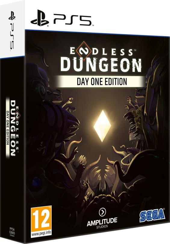 Hra na konzoli Endless Dungeon: Day One Edition - PS5