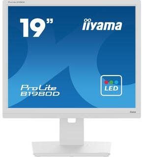 LCD monitor 19" iiyama ProLite B1980D-W5
