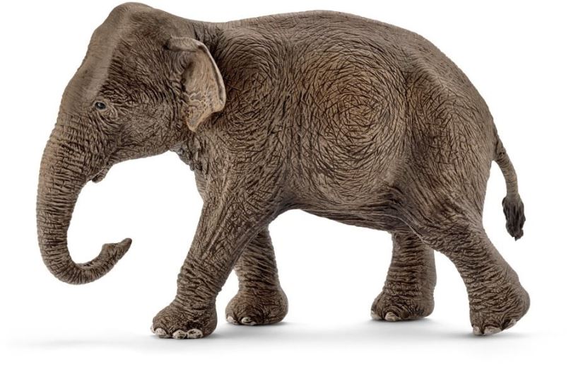 Figurka Schleich Asijský slon samice 14753