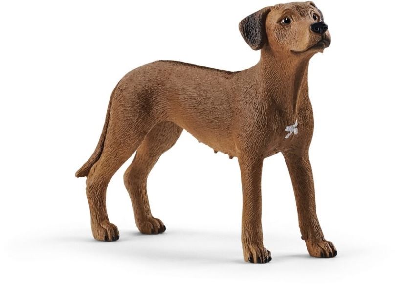 Figurka Schleich Zvířátko - pes ridgback rhodéský 13895