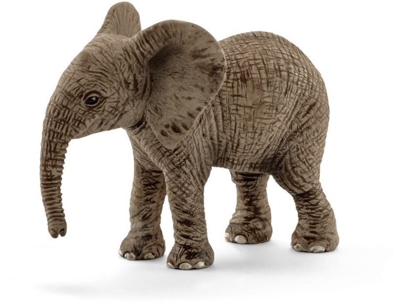 Figurka Schleich Mládě slona afrického 14763