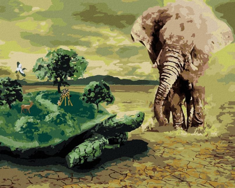 Malování podle čísel Želva v Africe, 40x50 cm, bez rámu a bez vypnutí plátna