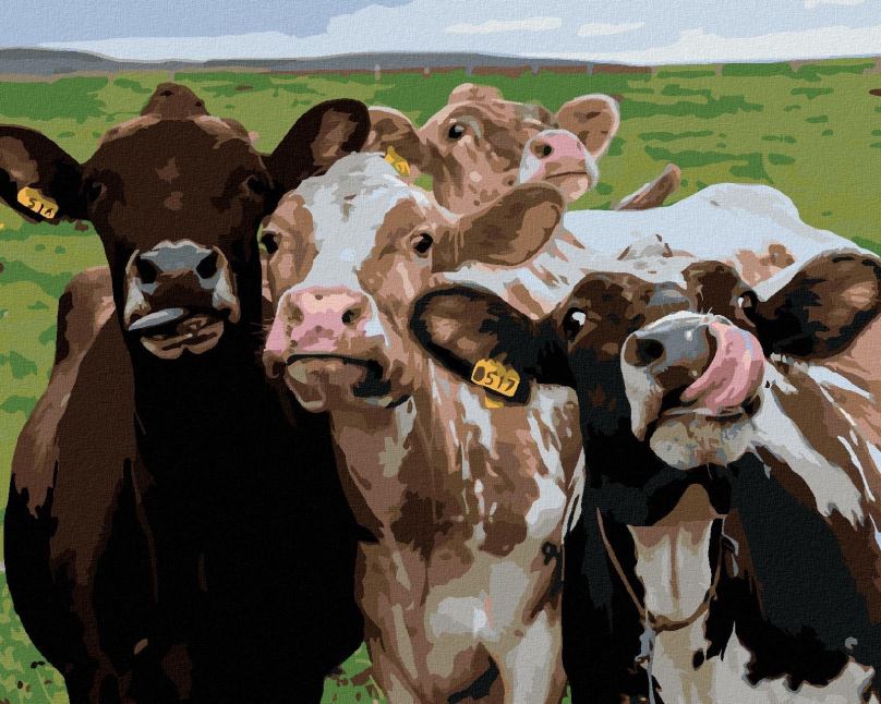 Malování podle čísel Kráva a její kamarádi, 80x100 cm, bez rámu a bez vypnutí plátna