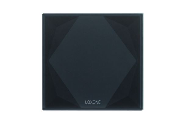 LOXONE Touch Pure Tree Anthrazit Gen. 1